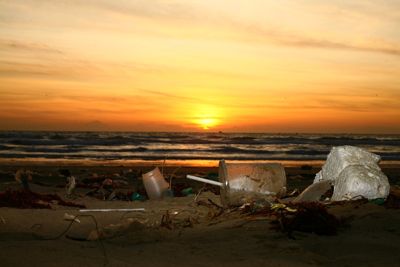 Tips for Cleaning Up After a Big Neighbourhood Event